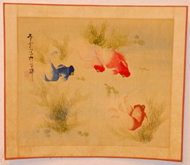 Zum vergr&ouml;&szlig;ern anklicken