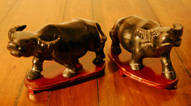 Zum vergr&ouml;&szlig;ern anklicken