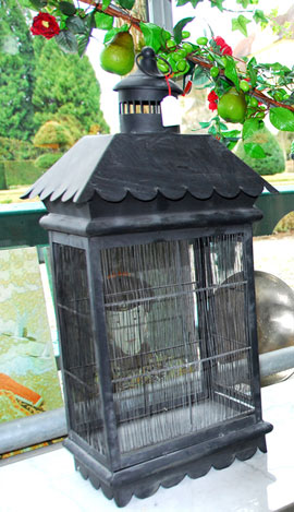 Zum vergr&ouml;&szlig;ern anklicken