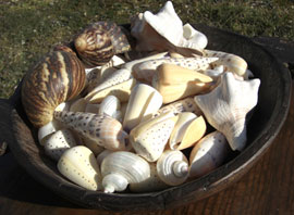 Zum vergr&ouml;&szlig;ern anklicken